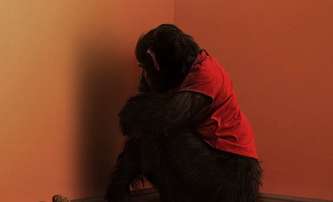 Primát: Opičí horor nás zkusí vystrašit bez děsivých zvuků | Fandíme filmu