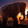 Oscar: Return of the Mammoth - Katastrofická zběsilost se představuje | Fandíme filmu