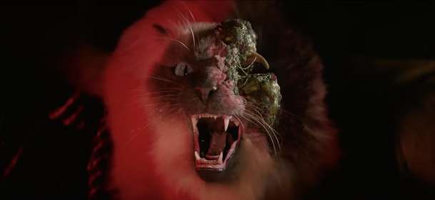 Cold Storage: Zběsilý boj s nákazou předvedl zábavný nový trailer | Fandíme filmu