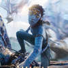 Avatar: Oheň a popel -  Nový trailer spouští velký rozvrat | Fandíme filmu