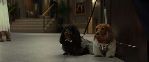 Starbright: Moderní pohádka padá z nebes k divákům | Fandíme filmu