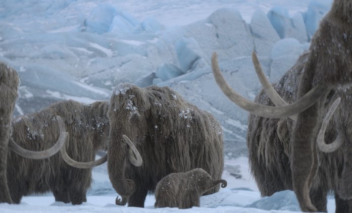 Prehistorická planeta - Ice Age: Apple přináší výpravný dokument o mamutech | Fandíme seriálům
