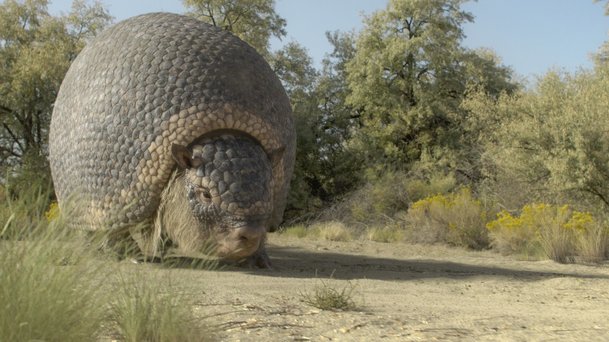 Prehistorická planeta - Ice Age: Apple přináší výpravný dokument o mamutech | Fandíme serialům