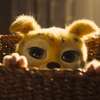Marsupilami: Zapomeňte na Paddingtona, nové animované zvířátko přichází z Francie | Fandíme filmu