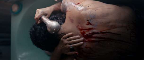 Animale: Běh s býky nabírá v novém filmu hororový rozměr | Fandíme filmu