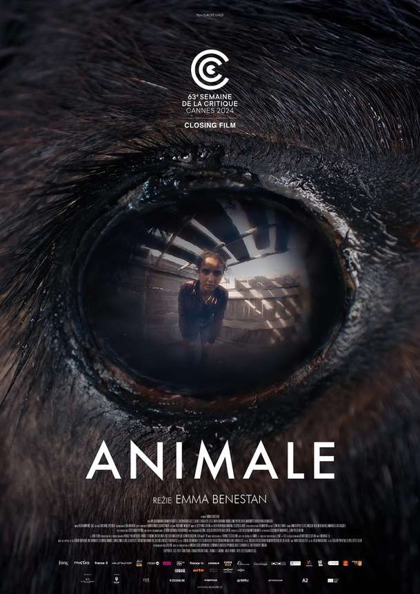 Animale: Běh s býky nabírá v novém filmu hororový rozměr | Fandíme filmu