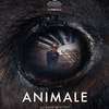 Animale: Běh s býky nabírá v novém filmu hororový rozměr | Fandíme filmu