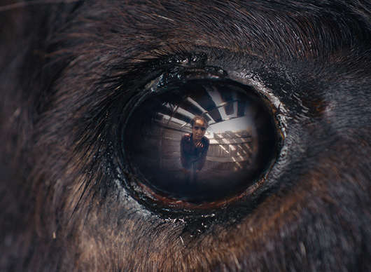 Animale: Běh s býky nabírá v novém filmu hororový rozměr | Fandíme filmu