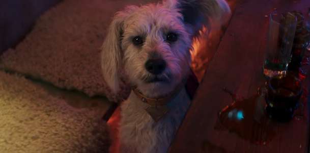 Supergirl: První pořádný trailer představuje těžce zahořklou hrdinku | Fandíme filmu