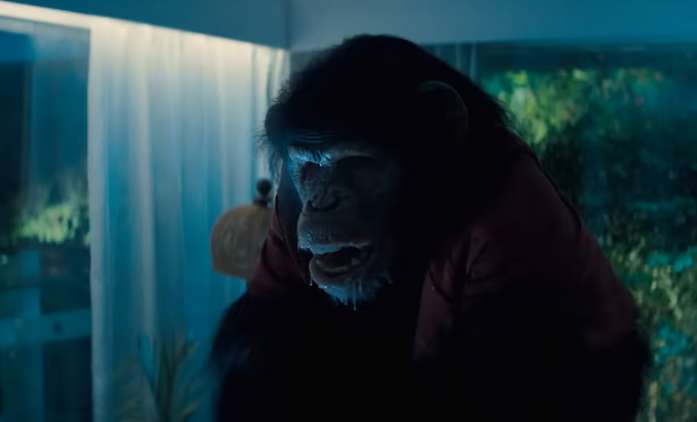 Primát: Nová upoutávka představuje horor o vraždícím šimpanzovi | Fandíme filmu