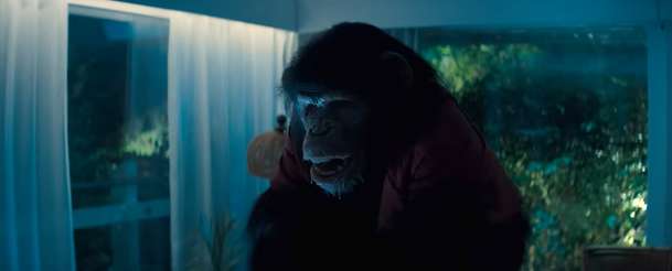 Primát: Nová upoutávka představuje horor o vraždícím šimpanzovi | Fandíme filmu