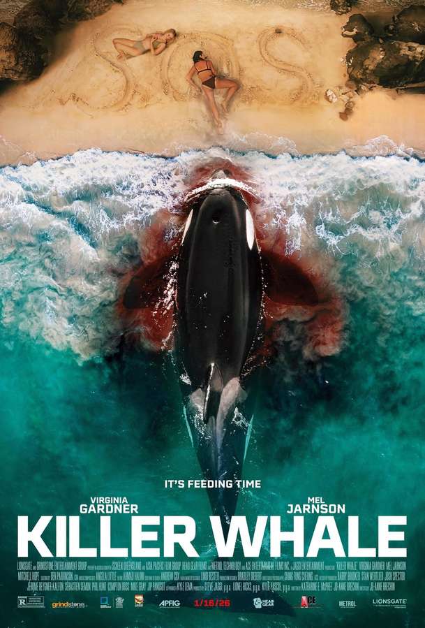 Killer Whale: Dvojici kamarádek ohrožuje krvežíznivá kosatka | Fandíme filmu