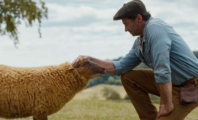 Béé team na stopě: Hugh Jackman v detektivní komedii plné ovcí | Fandíme filmu