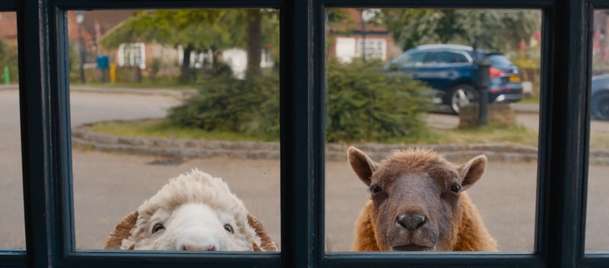 Béé team na stopě: Hugh Jackman v detektivní komedii plné ovcí | Fandíme filmu