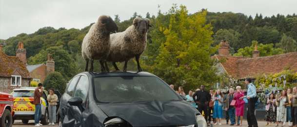 Béé team na stopě: Hugh Jackman v detektivní komedii plné ovcí | Fandíme filmu