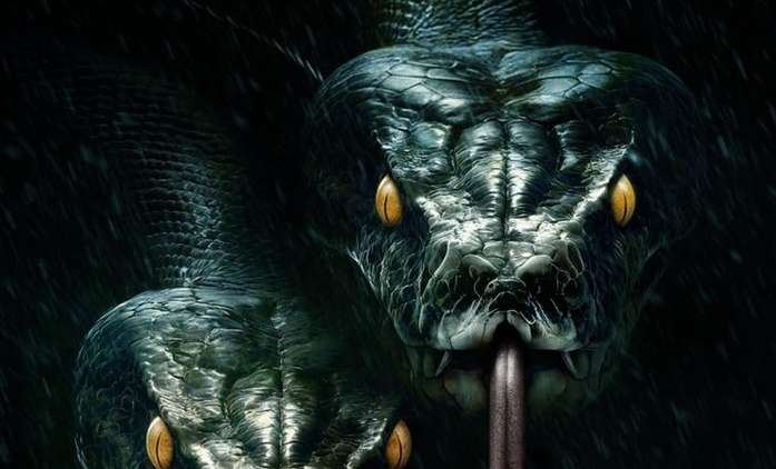 The Anacondas: Na Anakondě se přiživí její béčková příbuzná | Fandíme filmu