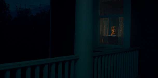 Na hereckých cenách porazil veškeré lidské konkurenty pes | Fandíme filmu