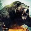 Grizzly Night: V novém hororu trhá výletníky v lese agresivní medvěd | Fandíme filmu
