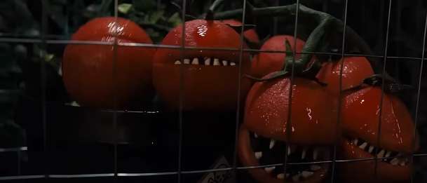 Attack of the Killer Tomatoes: V pošahané novince lidstvo ohrožují inteligentní rajčata | Fandíme filmu