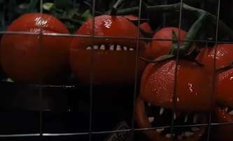 Attack of the Killer Tomatoes: V pošahané novince lidstvo ohrožují inteligentní rajčata | Fandíme filmu