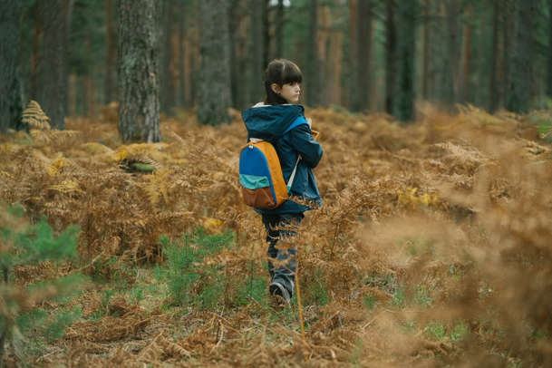 Průsek: Netflix naplno zapálil požár svého nového katastrofického snímku | Fandíme filmu