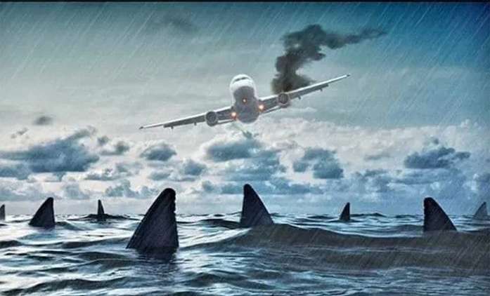 Deep Water: Po havárii letadla mezi žraloky začínají jatka - trailer | Fandíme filmu