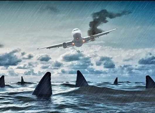 Deep Water: Aaron Eckhart vs. žralok v nové upoutávce | Fandíme filmu