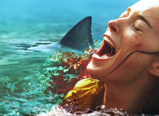 Žraločí smršť: Netflix představuje svou novinku plnou zubatých potvor | Fandíme filmu