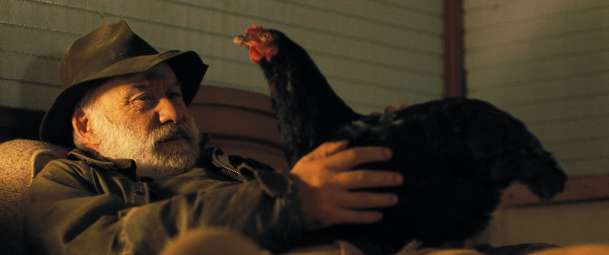 Slepice: Nejdojemnější film měsíce dubna má za hrdinku slepičku | Fandíme filmu