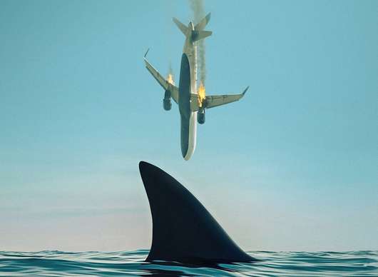 Deep Water: Zápas se žraloky je v novém traileru zábavně vyšinutý | Fandíme filmu
