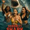 Sorority Shark Attack: V hororové komedii si žralok pošmákne na vysokoškolačkách | Fandíme filmu