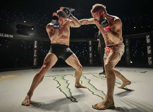 Beast: Pusťte si úvod MMA filmu, kde Russell Crowe vyrábí vítěze | Fandíme filmu