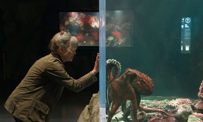 Pozoruhodně bystrá stvoření: Netflix přináší hřejivý lidský příběh vyprávěný chobotnicí | Fandíme filmu