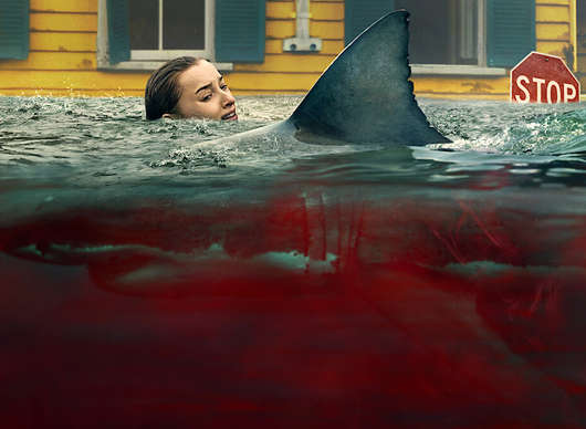 Žraločí smršť: Na Netflix právě dorazila čerstvá novinka se žravými bestiemi | Fandíme filmu