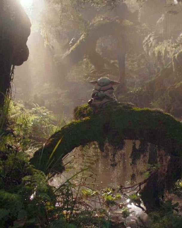 Star Wars: Mandalorian a Grogu – Konečně pořádný trailer z předaleké Galaxie | Fandíme filmu
