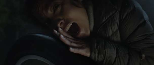 Pasažér: Trailer varuje před hrůzami, které s sebou přináší démonický stopař | Fandíme filmu