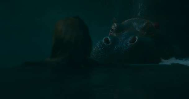 Hungry: Horor s řádícím hrochem předvedl trailer | Fandíme filmu