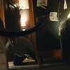 The Remedy: V chystaném hororu je strach všepožírající a není na něj lék | Fandíme filmu