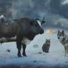 Animals in War: Sean Penn vystupuje v novém ukrajinském filmu | Fandíme filmu