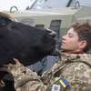 Animals in War: Sean Penn vystupuje v novém ukrajinském filmu | Fandíme filmu