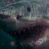 Chum: Psychopat používá lidi jako návnadu při lovu žraloka | Fandíme filmu