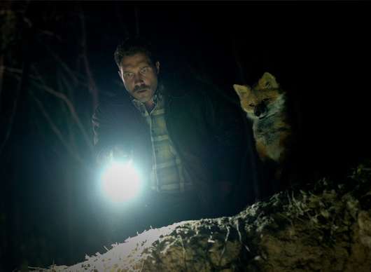 The Fox: Jai Courtney se v absurdní komedii spřáhne s mluvící liškou | Fandíme filmu