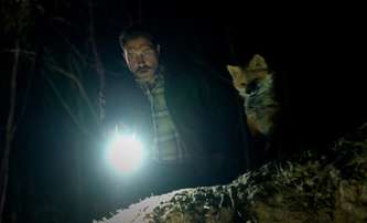 The Fox: Jai Courtney se v absurdní komedii spřáhne s mluvící liškou | Fandíme filmu