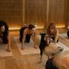 Spa Weekend: V nové komedii dámy vyrážejí na mejdan svého života | Fandíme filmu