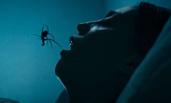 Crawlers: V odporném hororu není úniku z domu zamořeného pavouky | Fandíme filmu