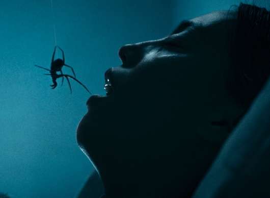 Crawlers: V odporném hororu není úniku z domu zamořeného pavouky | Fandíme filmu
