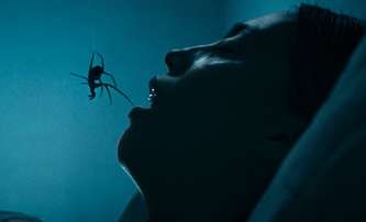 Crawlers: V odporném hororu není úniku z domu zamořeného pavouky | Fandíme filmu