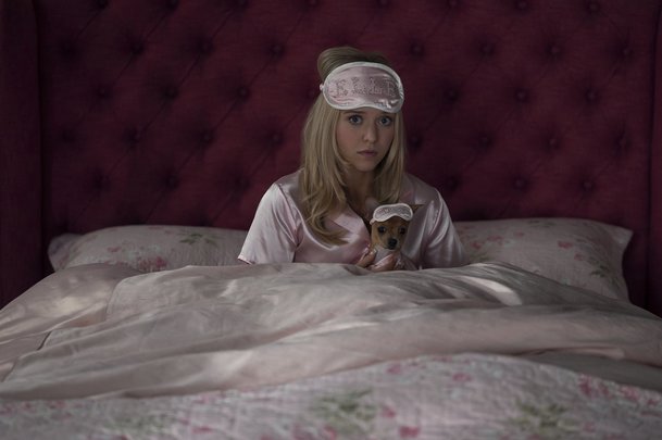 Elle: Prequel Pravé blondýnky se představuje | Fandíme serialům