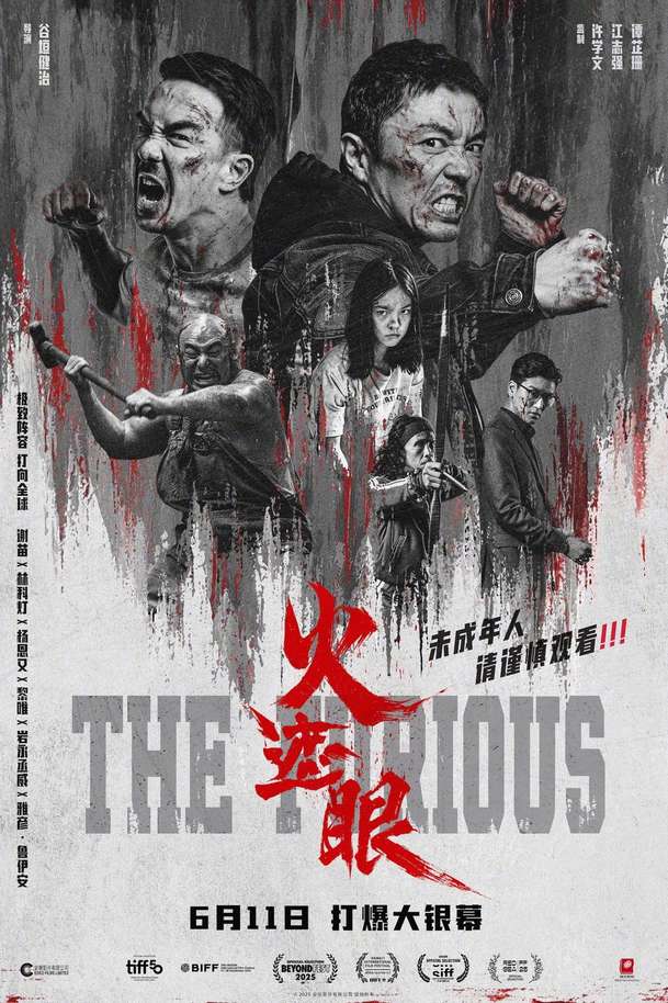 The Furious: Extrémně chválená akční pecka chystá pokračování | Fandíme filmu