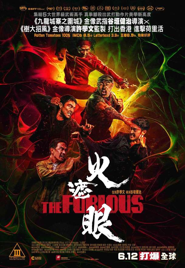 The Furious: Extrémně chválená akční pecka chystá pokračování | Fandíme filmu